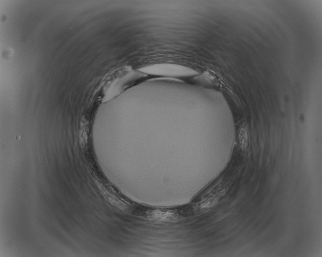 X0000084020570200703161742