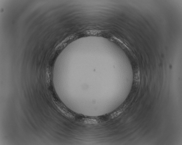 X0000084020572200703161742