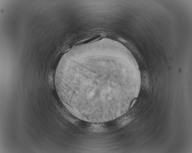 X0000084020573200703161742