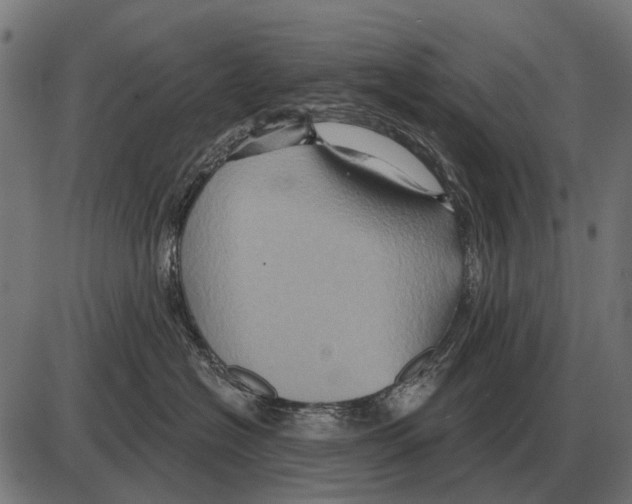 X0000084020574200703161742