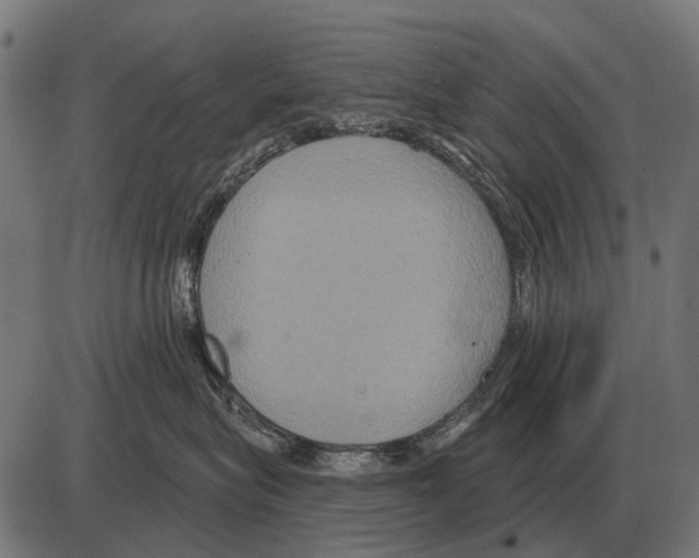 X0000084020575200703161742