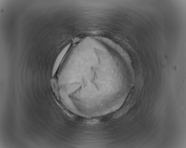 X0000084020576200703161742