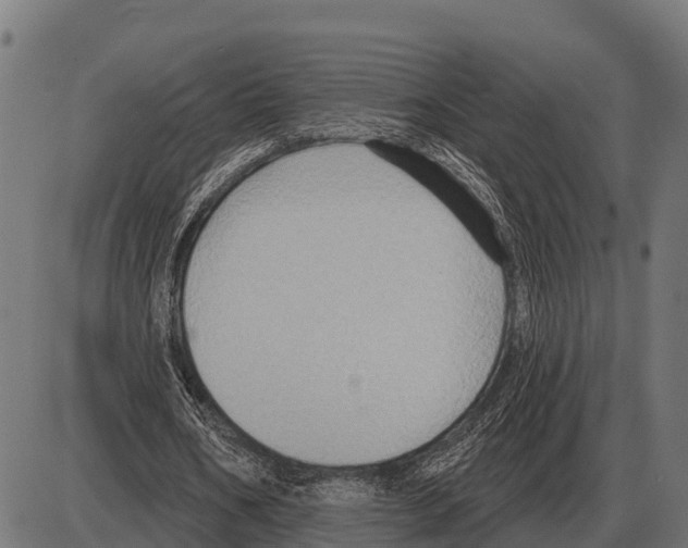 X0000084020578200703161742