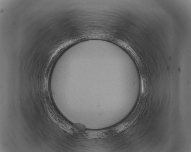 X0000084020579200703161742