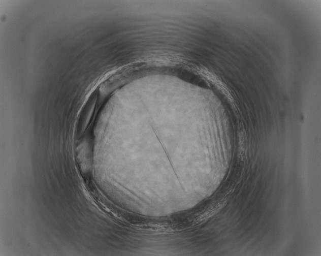 X0000084020580200703161742