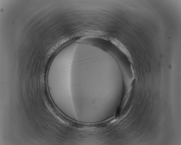 X0000084020581200703161742