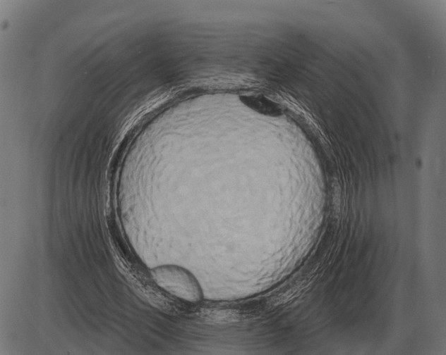 X0000084020582200703161742