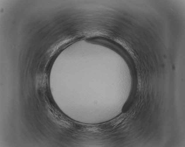 X0000084020583200703161742