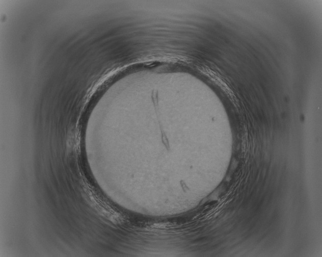 X0000084020584200703161742