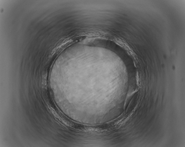 X0000084020585200703161742