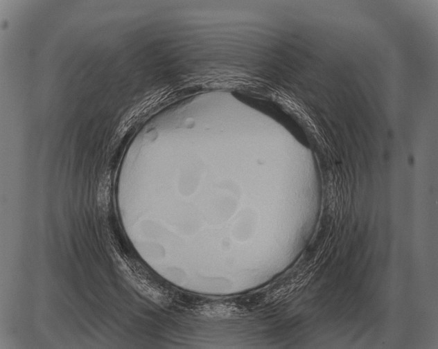 X0000084020586200703161742