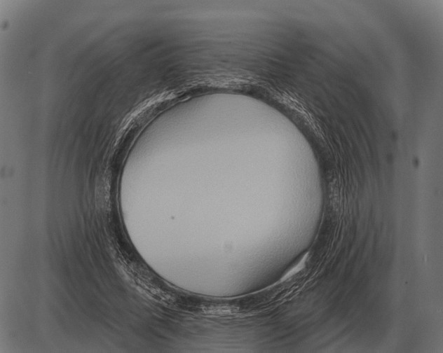 X0000084020587200703161741