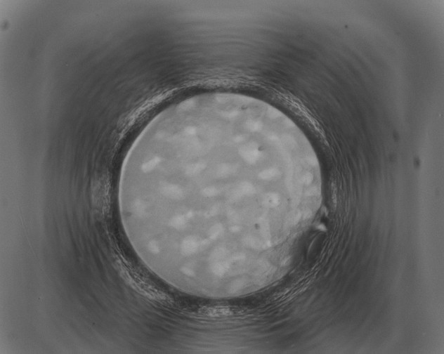 X0000084020588200703161741