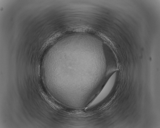 X0000084020589200703161741