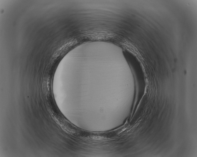 X0000084020590200703161741