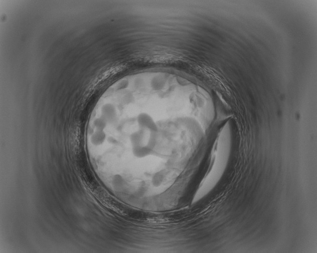 X0000084020591200703161741