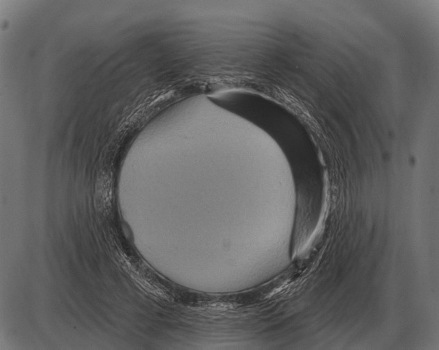 X0000084020593200703161741