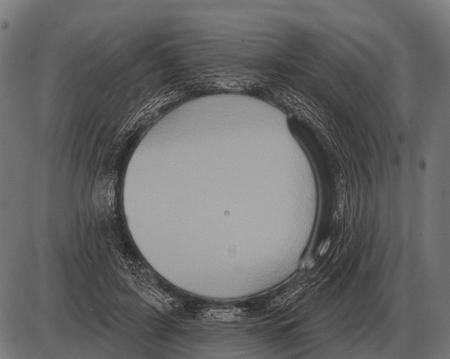 X0000084020595200703161741