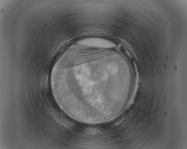 X0000084020596200703161741