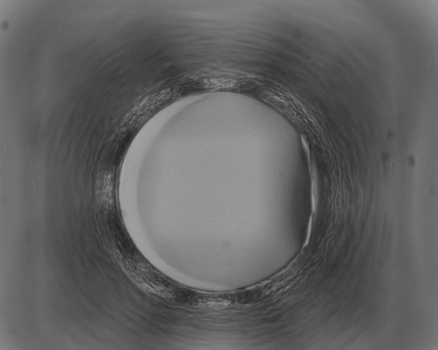 X0000084020598200703161741