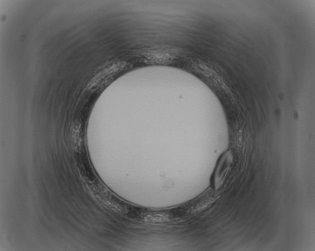 X0000084020599200703161741