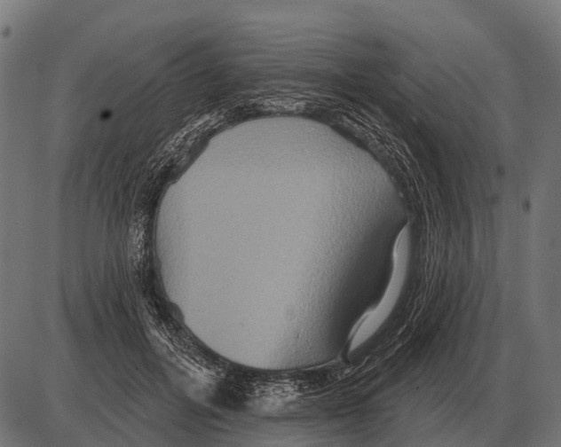 X0000084020600200703161741