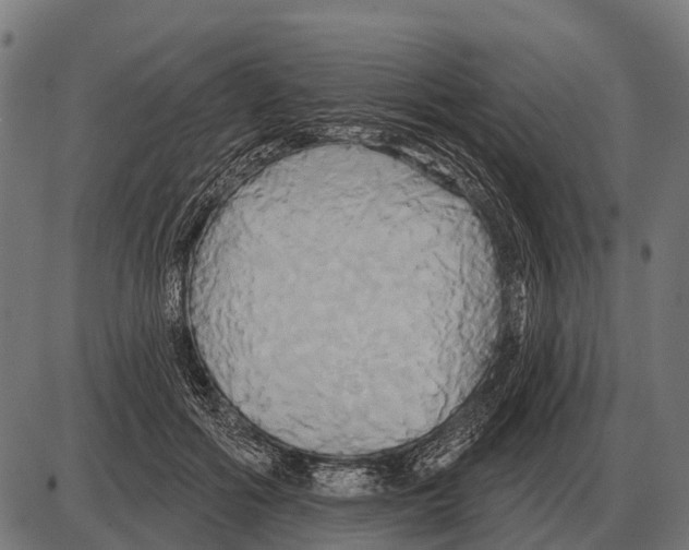 X0000084020602200703161741