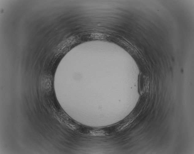 X0000084020603200703161741