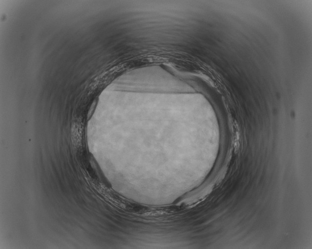 X0000084020604200703161741