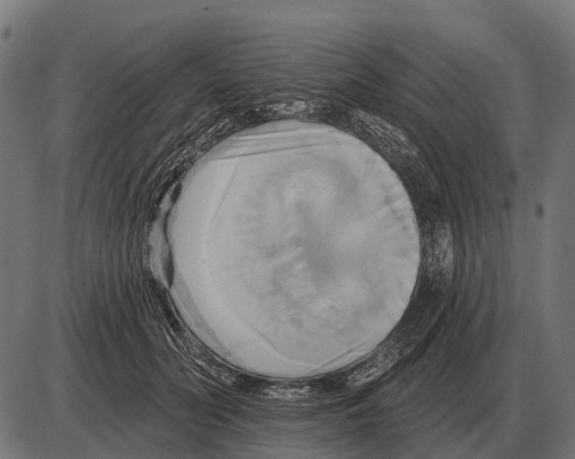 X0000084020606200703161741