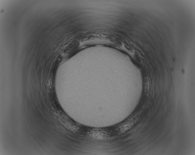 X0000084020608200703161741