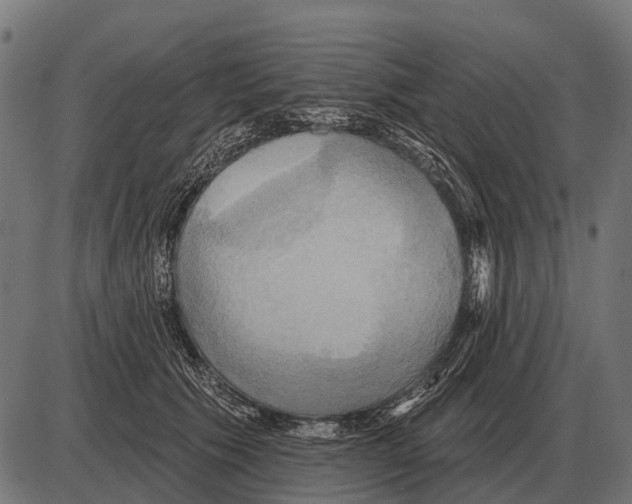 X0000084020609200703161741