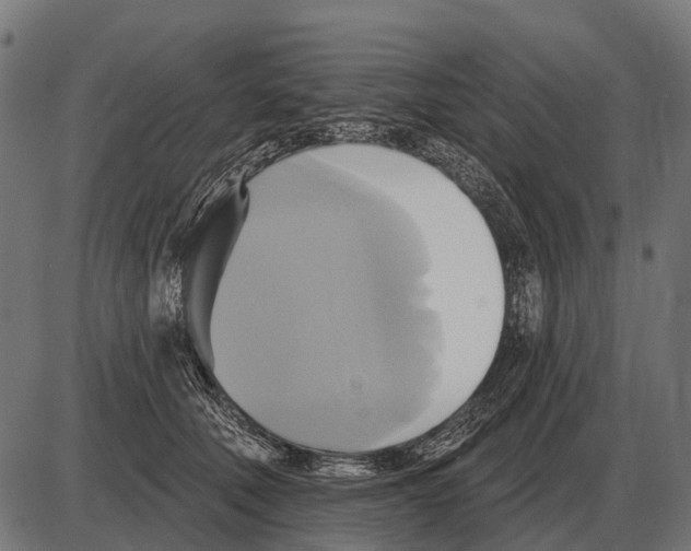 X0000084020610200703161741