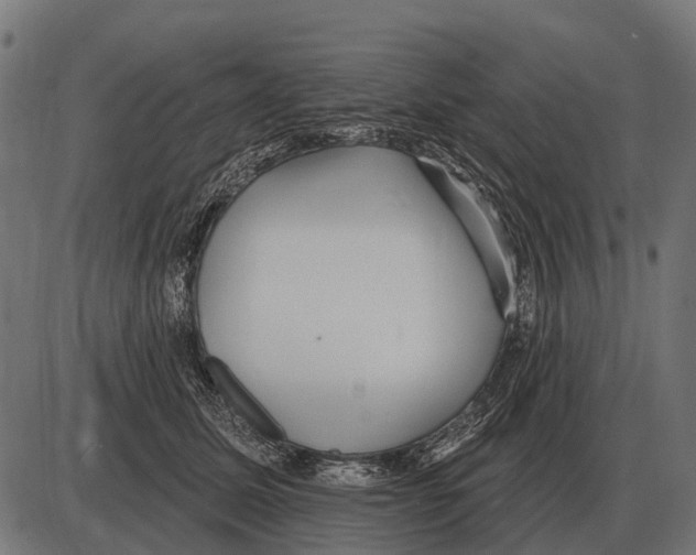 X0000084020611200703161741