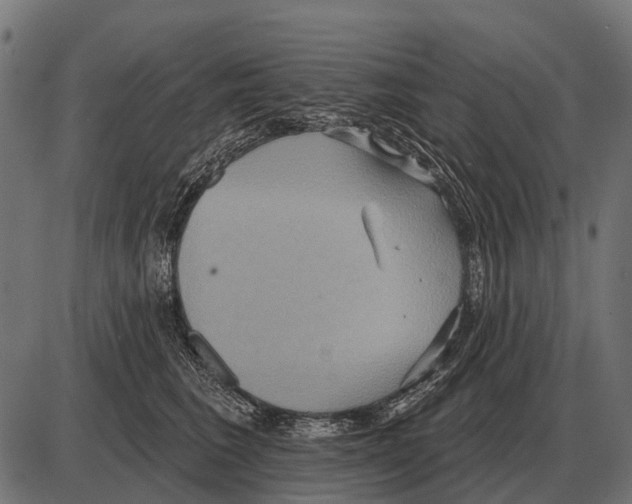 X0000084020613200703161741