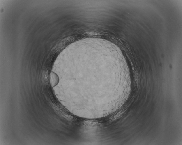 X0000084020614200703161741