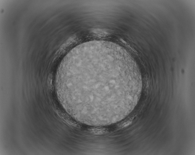 X0000084020615200703161741