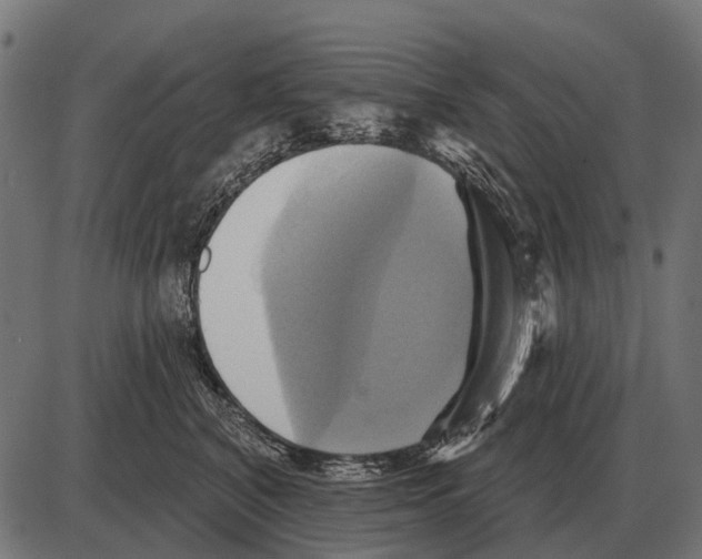 X0000084020616200703161741