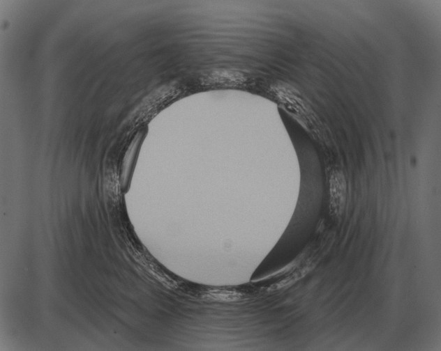 X0000084020617200703161741