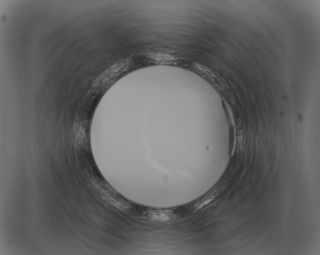 X0000084020618200703161741