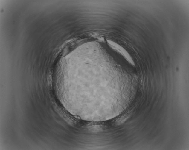 X0000084020620200703161741