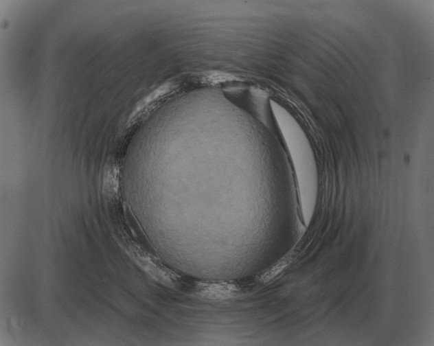 X0000084020621200703161741