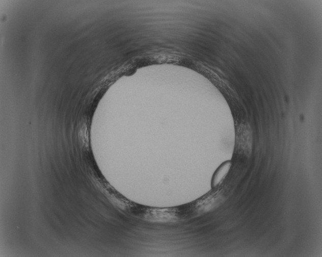 X0000084020622200703161741