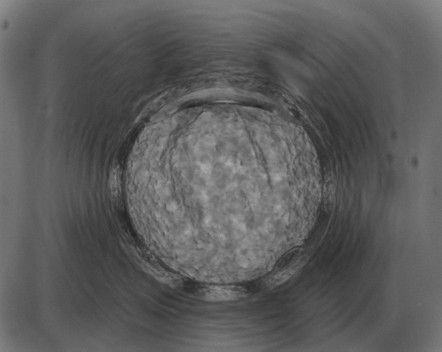 X0000084020623200703161741