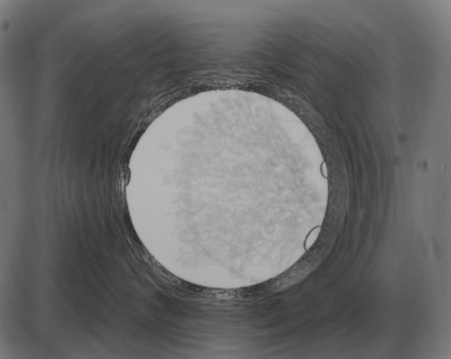 X0000084020624200703161741