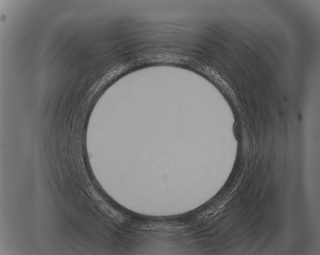 X0000084020625200703161740