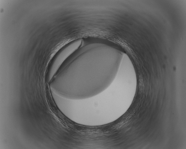 X0000084020626200703161740