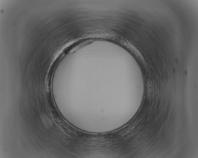 X0000084020628200703161740