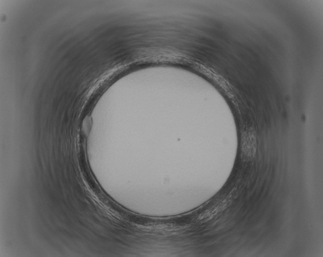 X0000084020629200703161740