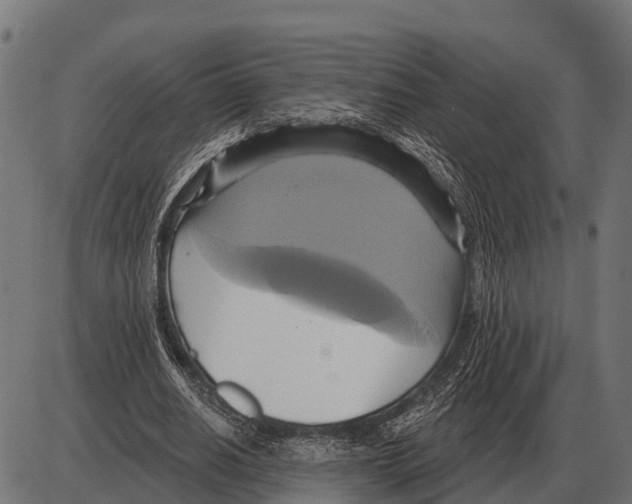 X0000084020630200703161740